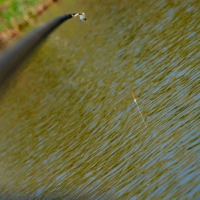 Guru Diamond Pole Floats